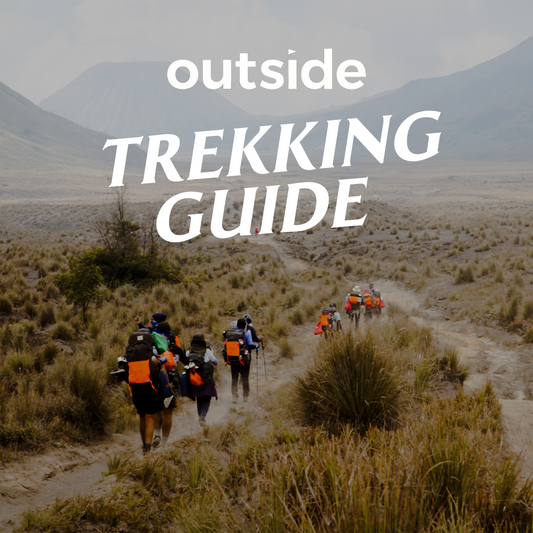 Uncover Nature’s Secrets on a Trekking Adventure