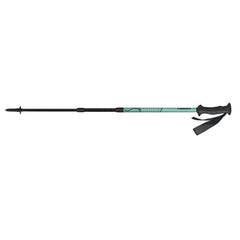 MASTERS SCOUT POLES