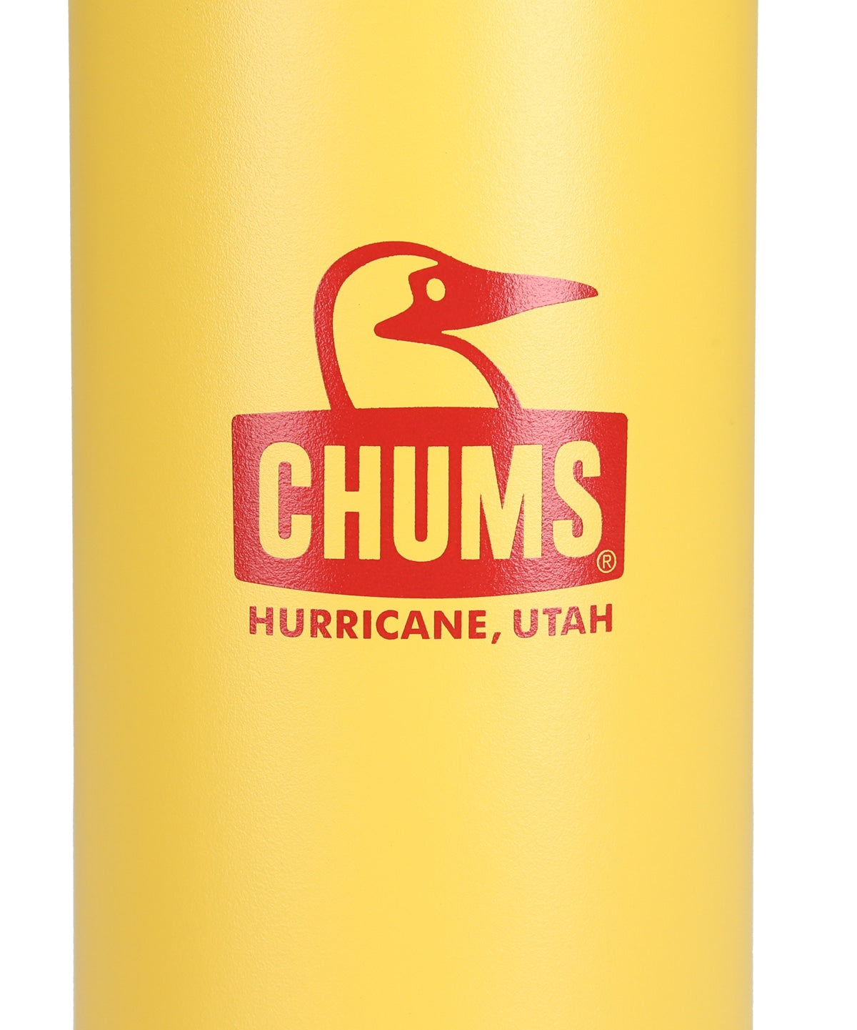 CHUMS CAMPER WAVE BOTTLE 500ML - MINT X WHITE